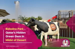 Baladna Park - Qatar's Hidden Green Gem in Midst of Desert