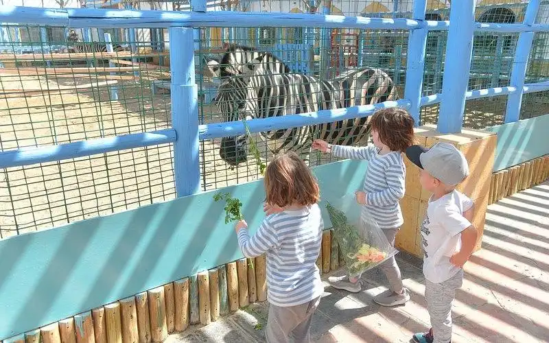 Baladna Park's Zoo