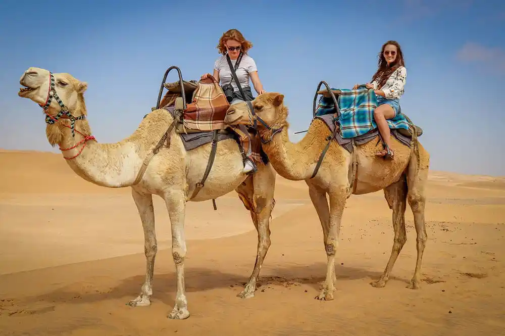 Camel Riding Qatar