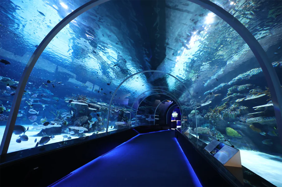 Hamad port Aquarium