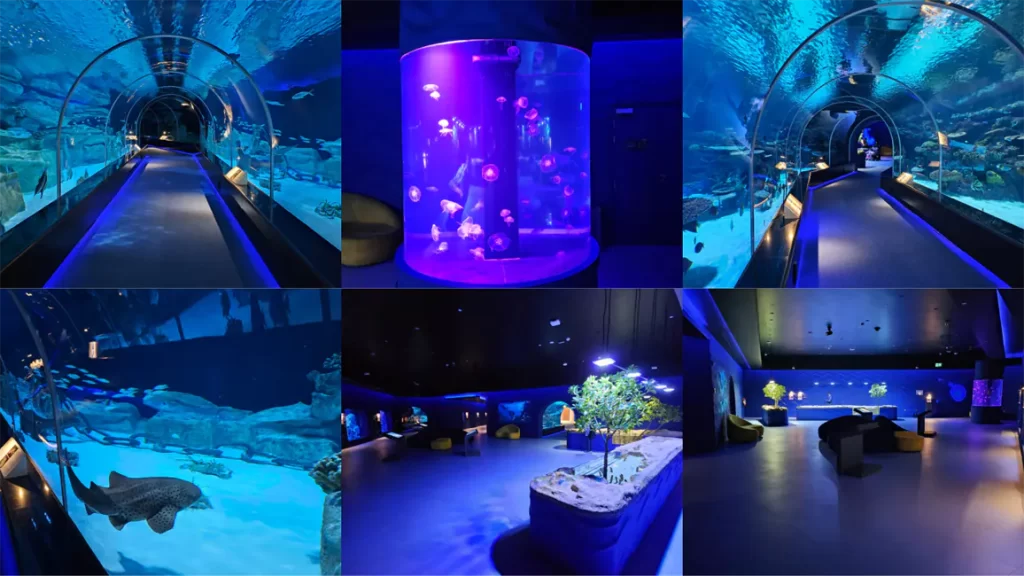 Visitor Center Aquarium Hamad Port