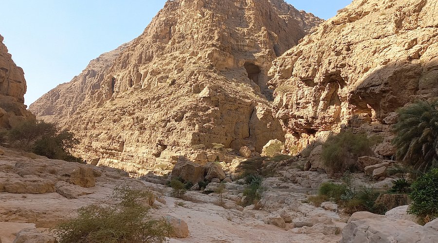 Best Wadis and Runnels in Qatar 