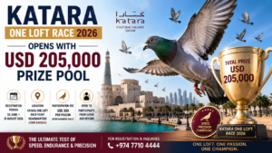 Katara One Loft Race 2026 Opens with USD 205,000 Prize Pool