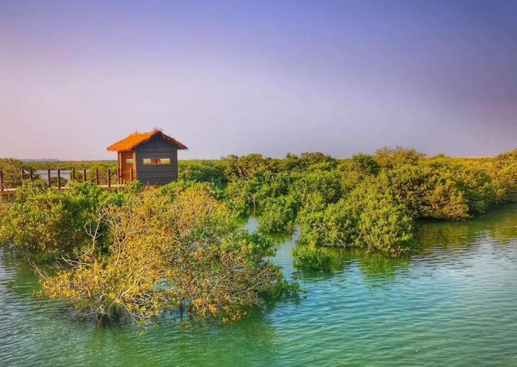 Purple Island, Mangroves 